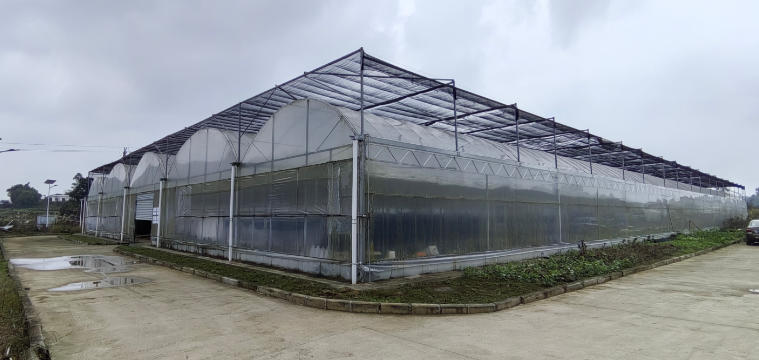 璧山智慧养殖基地 - 图片1