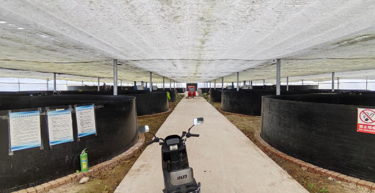 璧山智慧养殖基地 - 图片3