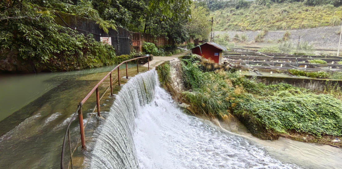 合川三汇冷水鱼养殖基地 - 图片1